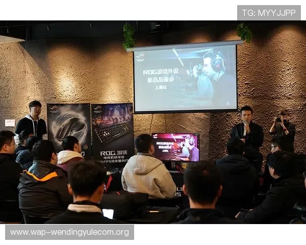问鼎PG官方入口无法登录怎么办，解决方案与常见问题排查指南帮助玩家顺利进入游戏